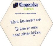 2667: Бельгия, Hoegaarden