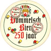 8236: Нидерланды, Dommelsch