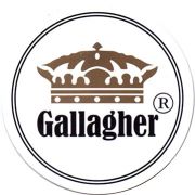 14094: Болгария, Gallagher