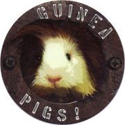 14819: Испания, Guinea pigs