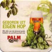 17433: Belgium, Palm