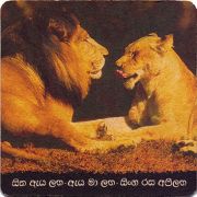 22131: Шри-Ланка, Lion