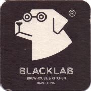 25707: Испания, Black lab
