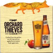 26242: United Kingdom, Orchard Thieves