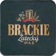 31137: Poland, Brackie