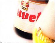 158: Бельгия, Duvel