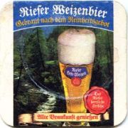 313: Германия, Rieser