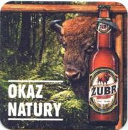 844: Польша, Zubr