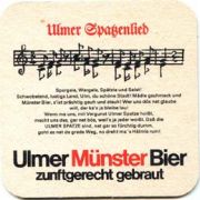 1396: Германия, Ulmer Munster