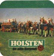 2020: Германия, Holsten