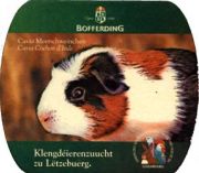 3224: Люксембург, Bofferding