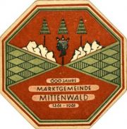 3613: Германия, Mittenwald