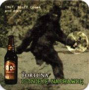6002: Poland, Fortuna
