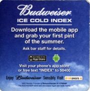 6195: USA, Budweiser (Ireland)