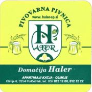 6302: Словения, Haler