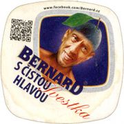 7410: Чехия, Bernard