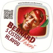 7411: Чехия, Bernard