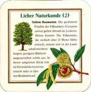 7789: Германия, Licher