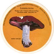 7945: Швейцария, Calanda