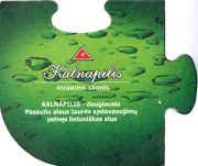 8206: Lithuania, Kalnapilis