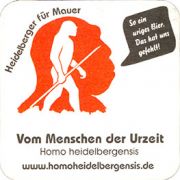 8347: Германия, Heidelberger