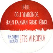 8743: Турция, Efes