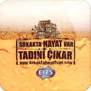 8745: Турция, Efes