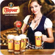 8977: Словакия, Topvar