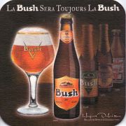 9647: Belgium, Bush