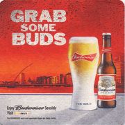 9946: USA, Budweiser (Ireland)