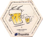 10131: Бельгия, Hoegaarden