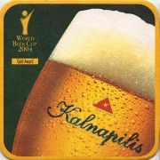 11024: Lithuania, Kalnapilis