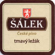 11321: Красноярск, Salek