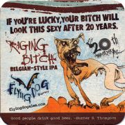 13861: USA, Flying Dog