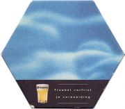 15358: Бельгия, Hoegaarden