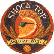 15521: США, Shock Top