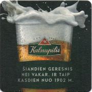 15680: Lithuania, Kalnapilis