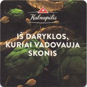 15705: Lithuania, Kalnapilis