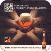 16726: Belgium, Bush