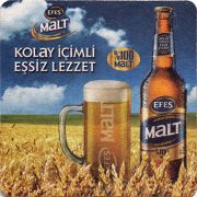 16921: Турция, Efes