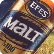 16960: Турция, Efes