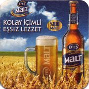 16960: Турция, Efes