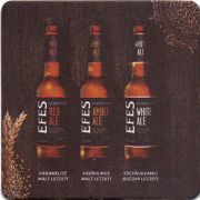 16963: Турция, Efes
