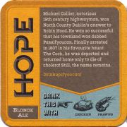 16996: Ireland, Hope