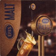 17307: Турция, Efes