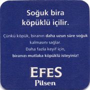 17308: Турция, Efes