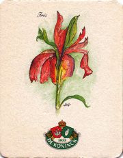 17424: Belgium, De Koninck
