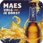 17435: Бельгия, Maes