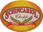 17521: Бразилия, Nova Schin / Schincariol
