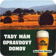19321: Чехия, Platan
